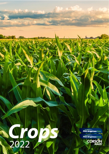Crops 22 guide that accompanied the presentations of the event